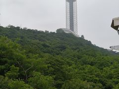 -富斯特索道