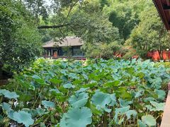 -成都武侯祠博物馆