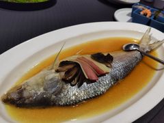 老酒蒸鲥鱼-望乡楼上海菜(日月光店)