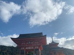 -有栖山 清光院 清水寺