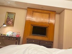 -维也纳国际酒店·深圳北站店