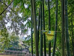 -瓦屋山景区
