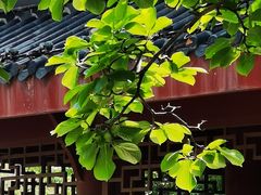 -堤角公园