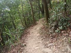 -梧桐山风景名胜区