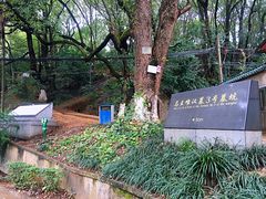 -马王堆汉墓遗址