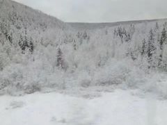 -北极村旅游风景区