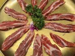 -杨小佳·齐齐哈尔烤肉·烤串(广州店)
