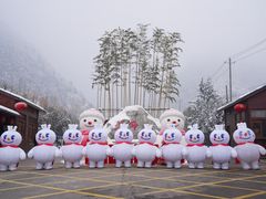 -少华山国家森林公园