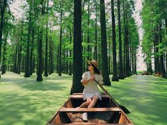 -渌洋湖湿地公园