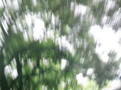 -北京国子监胡同