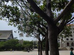 -厦门大学(思明校区)