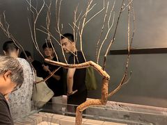 -喜茶(深圳万象城黑金店)