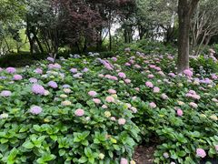 -常州古运河南大街文化旅游区-人民公园