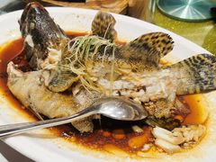 -紫阳海鲜楼·传承闽味(长乐路总店)