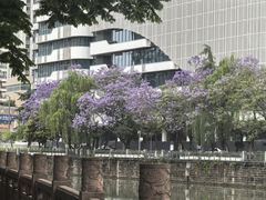 -成都市活水公园