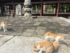 -四门塔风景区