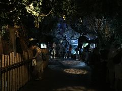 -暹罗海洋世界