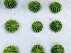 -威利旺卡烘焙西点蛋糕培训(朝阳校区)