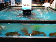 -盒马鲜生(曜一城店)