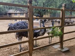 -秦皇岛野生动物园