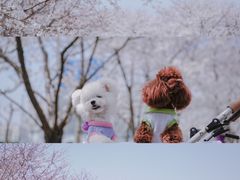 -龙美术馆(西岸馆)