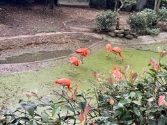 -杭州少年儿童公园