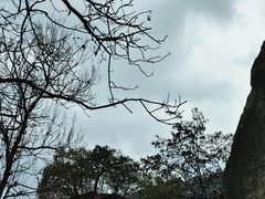 -秦岭终南山世界地质公园翠华山景区