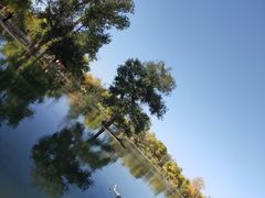 -金塔沙漠胡杨林景区