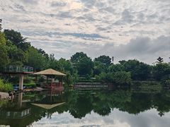 -抚仙湖万达文华酒店