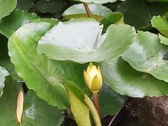 -苏州河梦清园环保主题公园