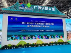 -南宁国际会展中心(会展东博文化旅游区)