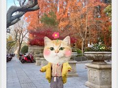 -苏州公园(双塔街道)