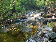 -云岫谷游猎自然风景区