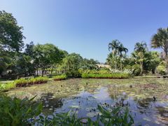 -中国科学院西双版纳热带植物园