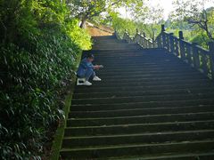 -四川农业大学(雅安校区)