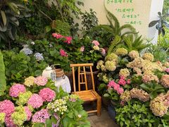 -懒人盐府人家·自贡大麻鱼(安贞店)