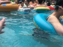 -波塞冬旅游度假区