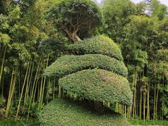 -苏州河梦清园环保主题公园