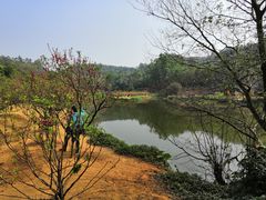 -南国桃园旅游度假区