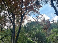 -狼山风景名胜区