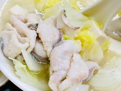 鱼片豆腐汤-阳江河堤老牌曾记美食