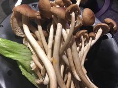 菌菇拼盘-煲宫猪肚鸡(昆山金鹰国际购物中心店)