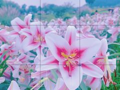 -径山花海