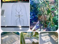 -上海昆虫博物馆