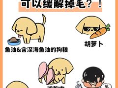 -翊宠yipet猫狗购宠庄园犬舍•猫舍