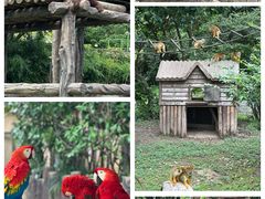 -上海野生动物园