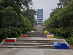 -宜兴龙背山森林公园