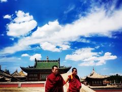 -塔尔寺-菩提树