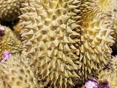 -AEON永旺(东方宝泰店)