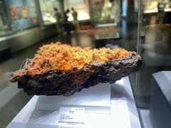 -湖南省地质博物馆